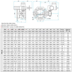 شیر پروانه ای فلنچ دار سایز 200 با پوشش داخلی لاینینگ میراب