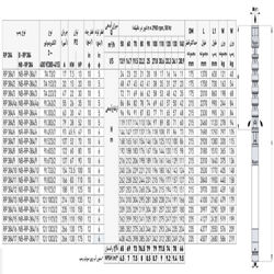 پمپ شناور رایان مدل RP 384/2