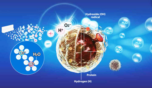 یون پلاسماکلستر دستگاه تصفیه هوا شارپ یون پلاسماکلستر دستگاه تصفیه هوا شارپ