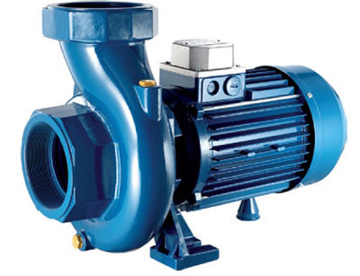 پمپ استخری پنتاکس پمپ استخری پنتاکس