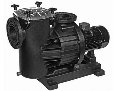 پمپ تصفیه استخر داب مدل Euro pro پمپ تصفیه استخر داب مدل Euro pro