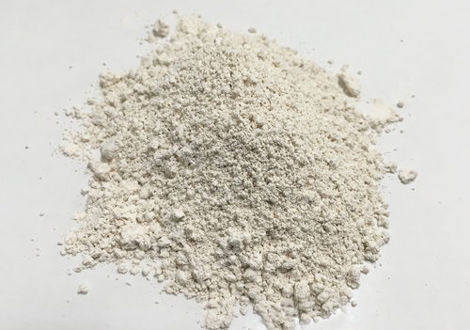 خاک دیاتومه چیست؟ خاک دیاتومه چیست؟